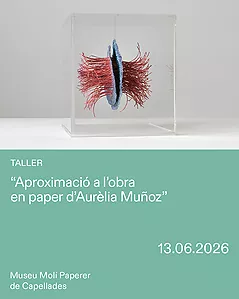 Aproximació a l'obra en paper de l'Aurèlia Muñoz