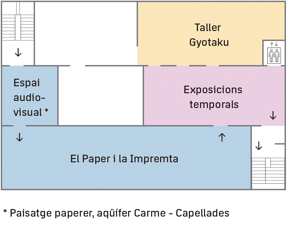 Primera Planta